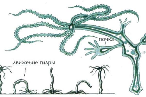 Кракен сайт kraken2